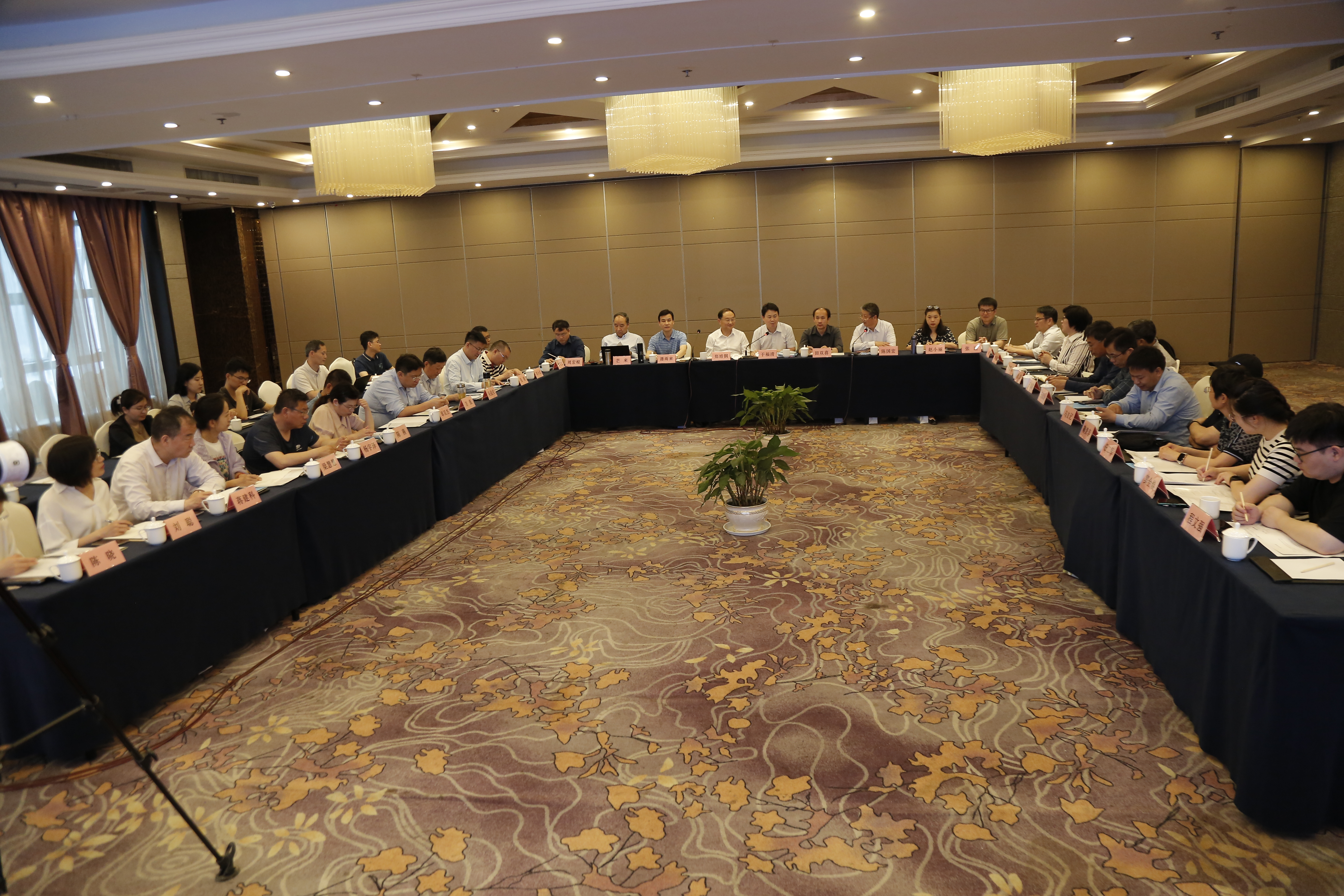 1684596365677547.jpg _R4A9018.JPG